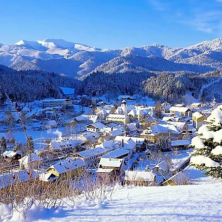 Perthold Kg Hotel Sankt Aegyd am Neuwalde