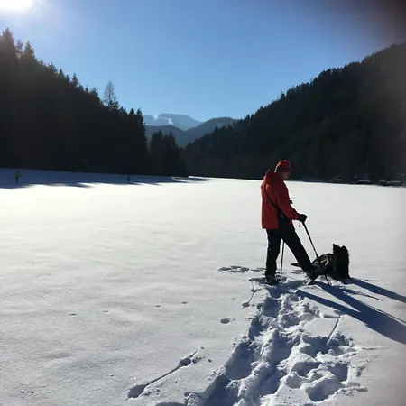 Zum Niederhaus - Familie Perthold Hotel 3*