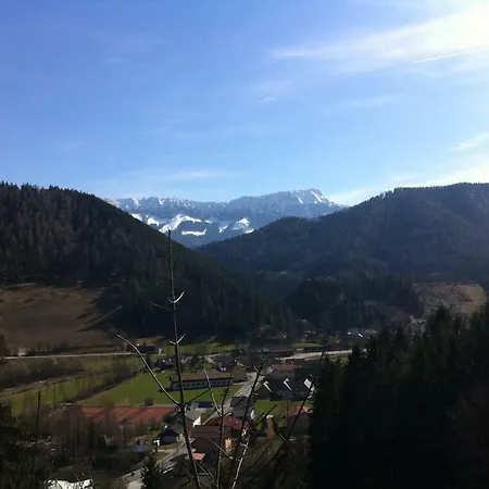 Zum Niederhaus - Familie Perthold Hotel