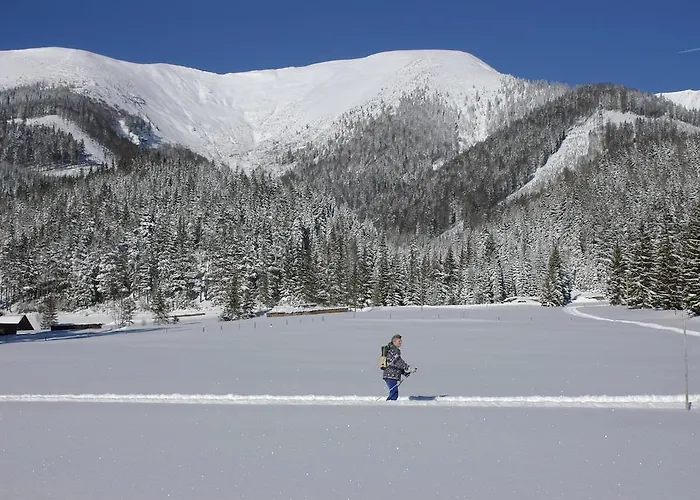 ホテル Zum Niederhaus - Familie Perthold 3*