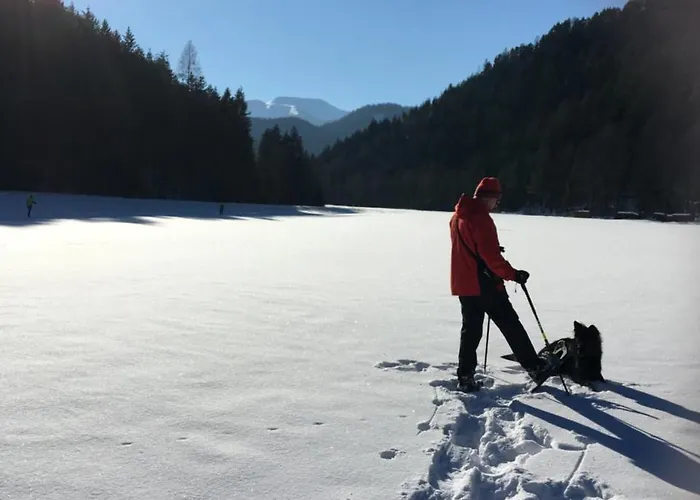 Zum Niederhaus - Familie Perthold ホテル 3*