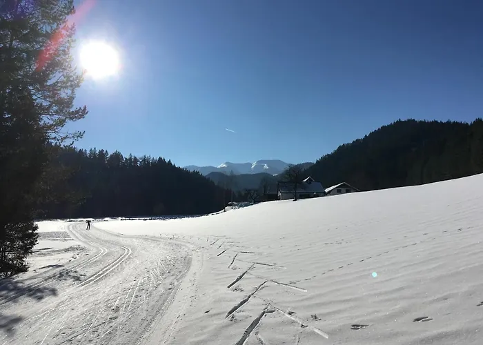 Zum Niederhaus - Familie Perthold ホテル Sankt Aegyd am Neuwalde