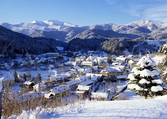 Hotel Perthold Kg 3*