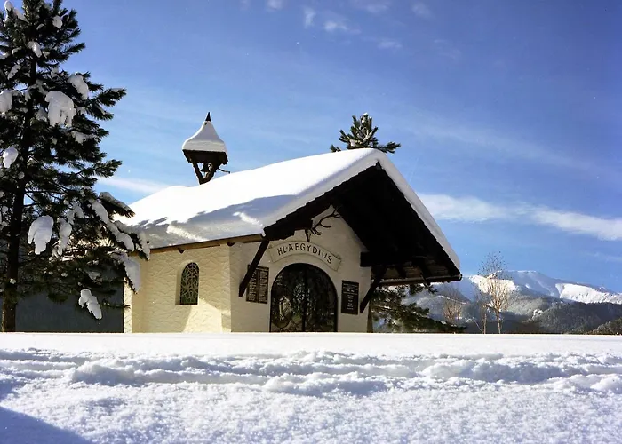 Hotel Perthold Kg Sankt Aegyd am Neuwalde