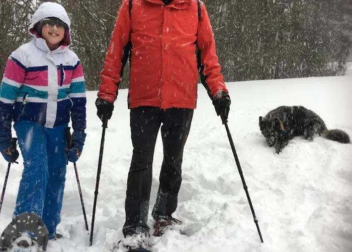 Perthold Kg 3* Sankt Aegyd am Neuwalde